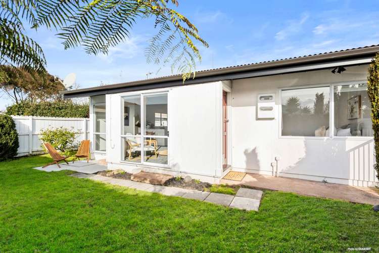 38b Victor Street Avondale_10