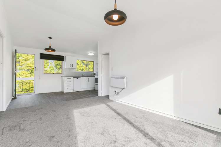 1/30 Ascot Avenue Remuera_6