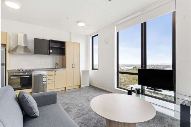 Tenth floor apartment with skyline views