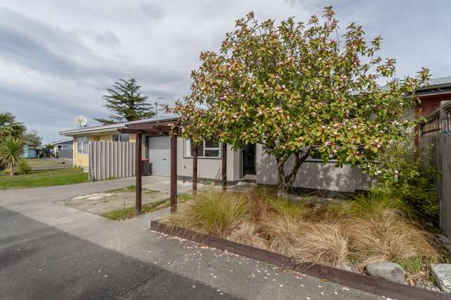 2/5 Rochester Street Tamatea_2