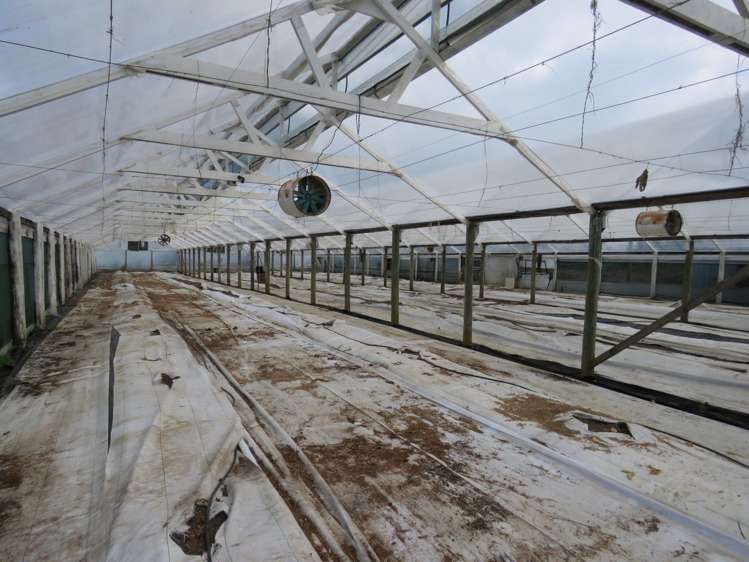 237 Whatitiri Road Maungatapere_22