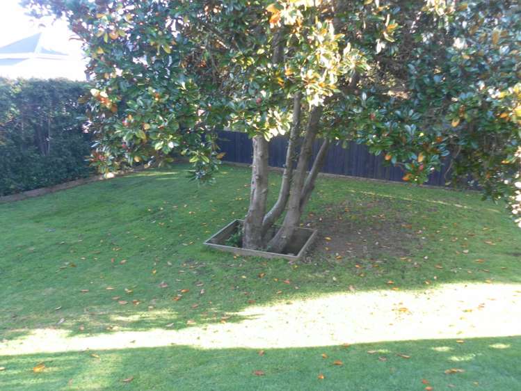 52 Vermont Street Ponsonby_17