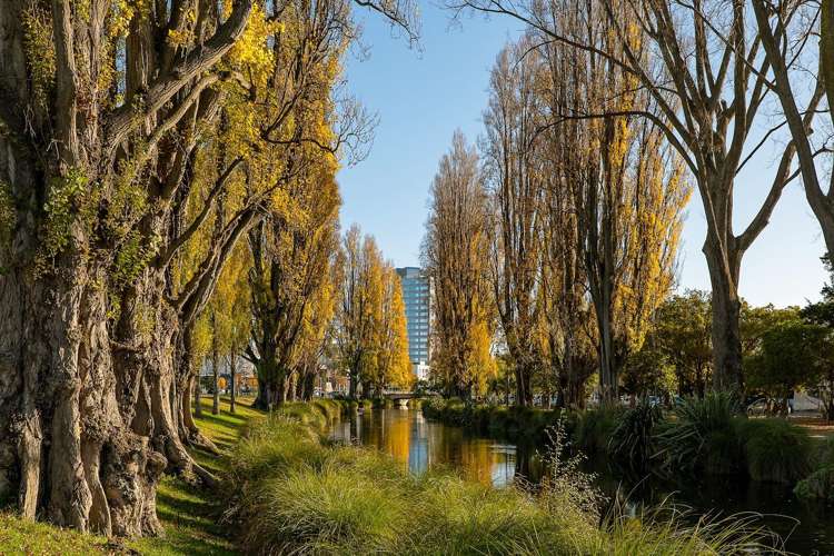 1/294 Madras Street Christchurch Central_14