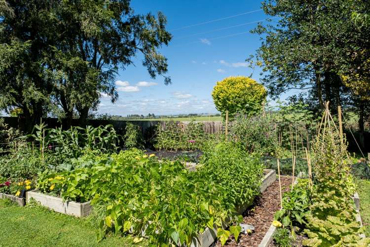 12 Tiplady Road Geraldine_17