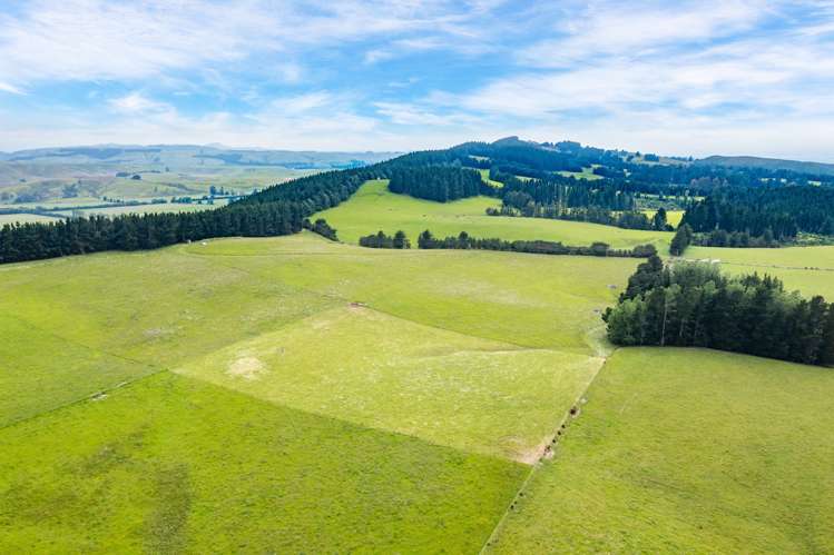 Steeles Road Hororata_6