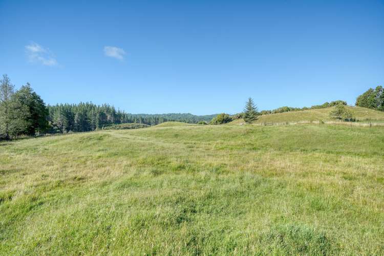 Lot 2 Lake Kaniere Road Hokitika_14