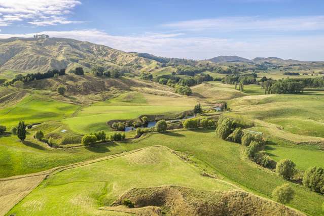 2594 Kahuranaki Road Elsthorpe_4