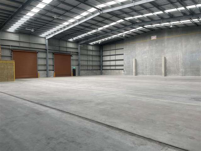 11/8 Islington Avenue Islington_1