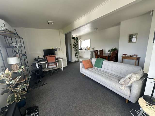 2/131 Williamson Avenue Grey Lynn_1