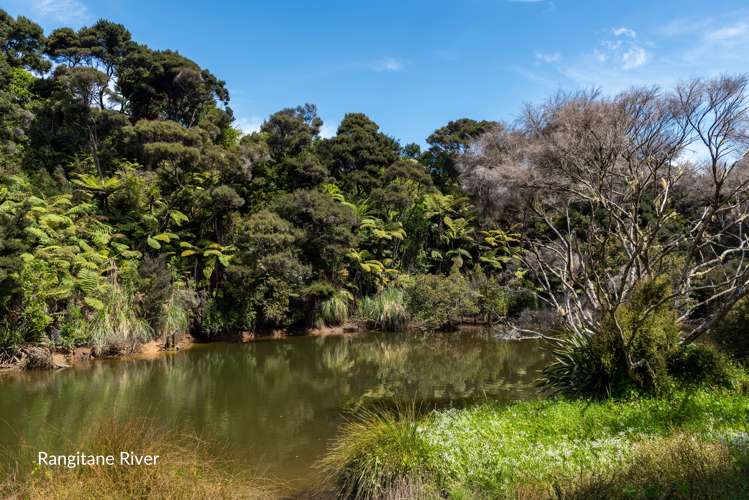 236 Redcliffs Road Kerikeri Far North Houses for Sale One Roof