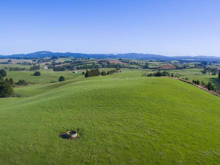 450a Settlement Road Kaiwaka_16