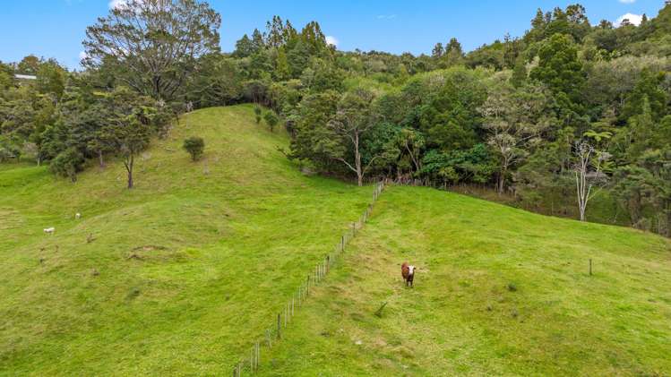 211 Whitehills Road Waitoki_25