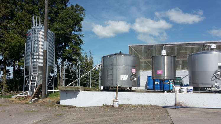 503 York Road Midhirst_13