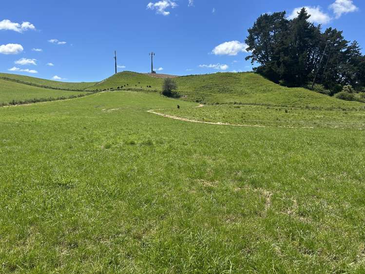 54 Puahue Road Te Awamutu_6