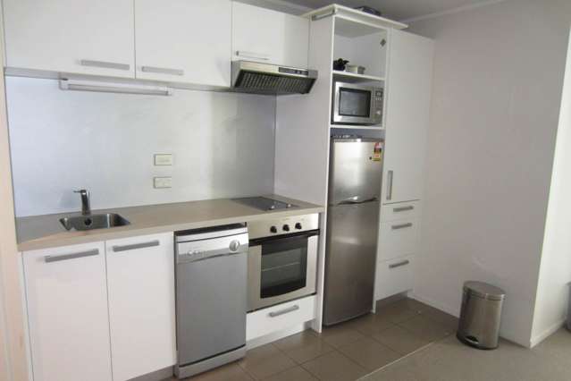 3G/156 Vincent Street City Centre_1