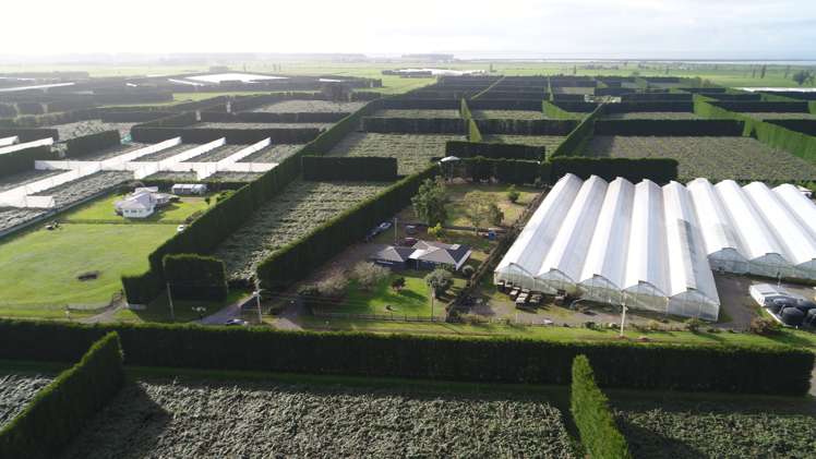 187 Kelly Road Paengaroa_31