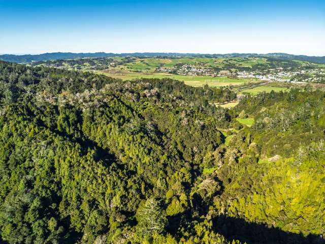 Whangae Road Kawakawa_3