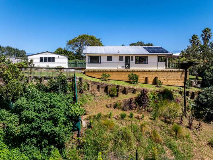 11 Sunshine Rise Raglan_23