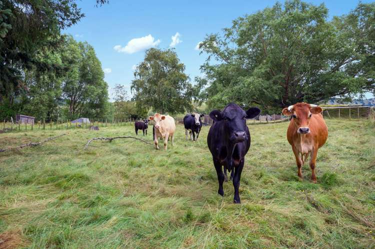 896 Taringamotu Road Taringamotu_1