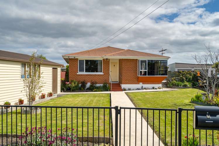 4 Vampire Road Waldronville_15