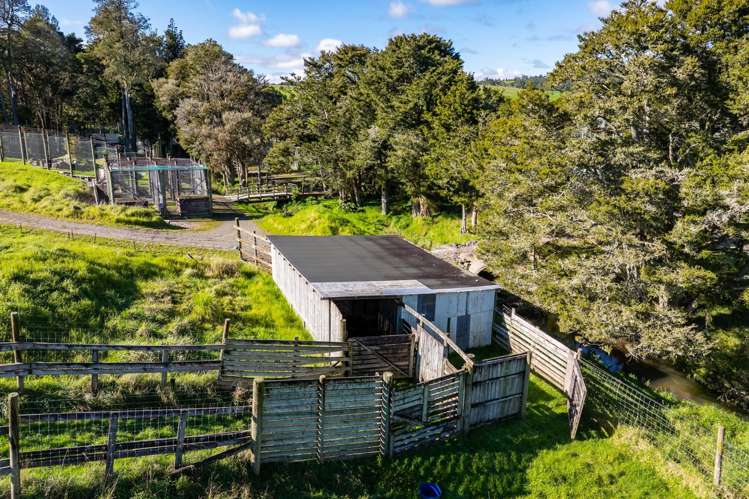 124 Gray Road Te Kamo_19