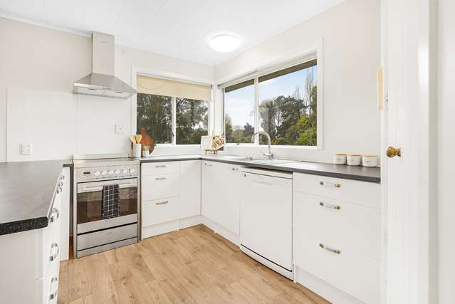 31 Ellicott Road Nawton_2