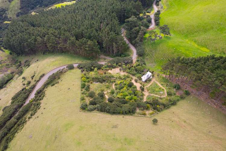 Whaanga Road Raglan_5