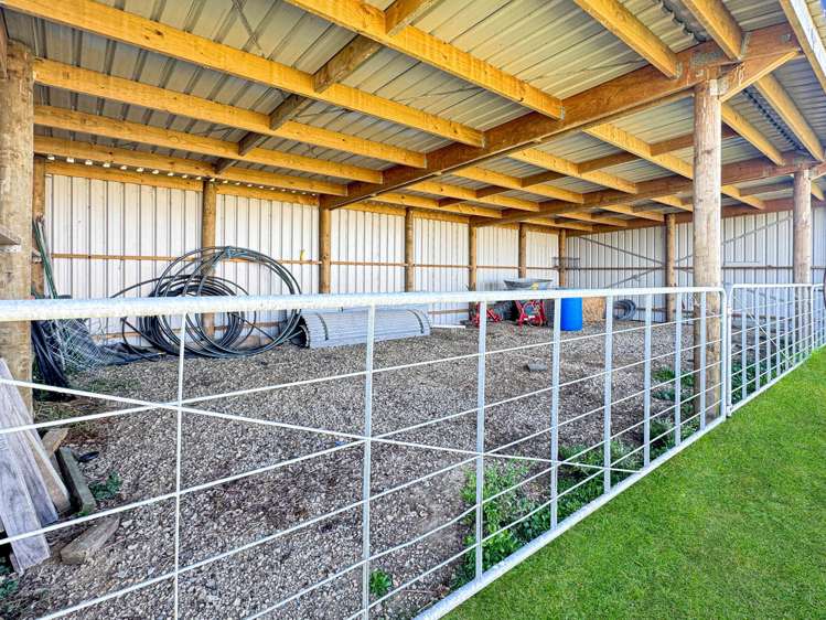 1110 Thornton Road Matata_11