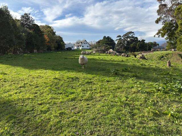 Country Charm, Full of Heart