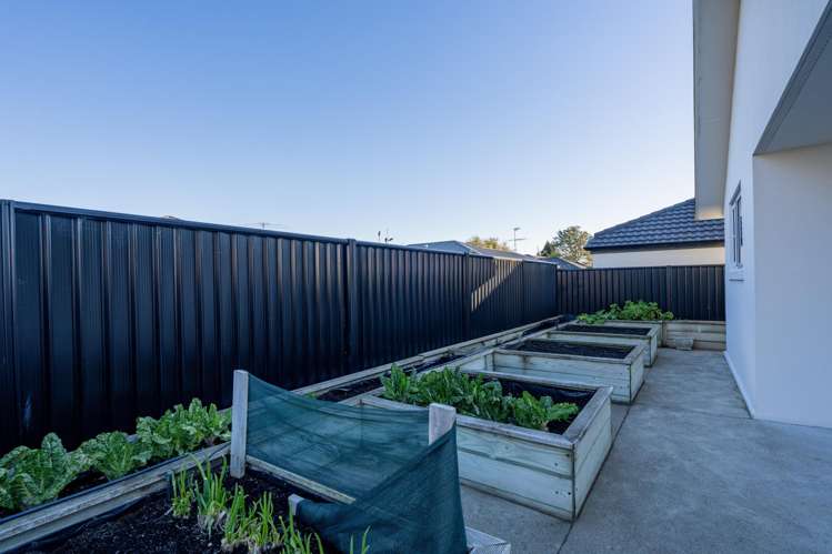 153 George Street Windsor_24