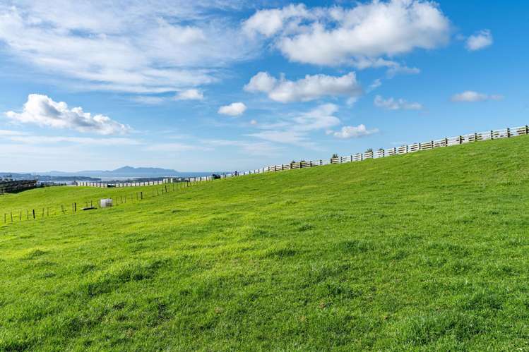 5 Wendy's Lane Mangawhai_17