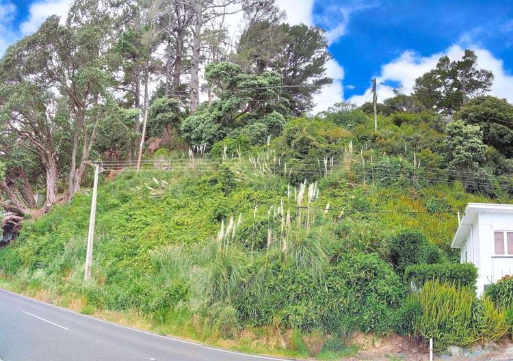 820 Thames Coast Road Te Mata_1