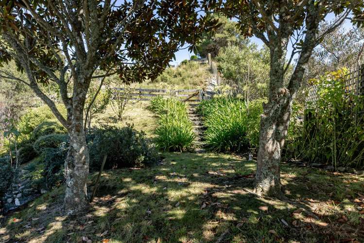 29 Anlaby Road Nikau Valley_14