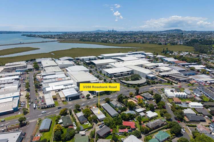 3/288 Rosebank Road Avondale_18