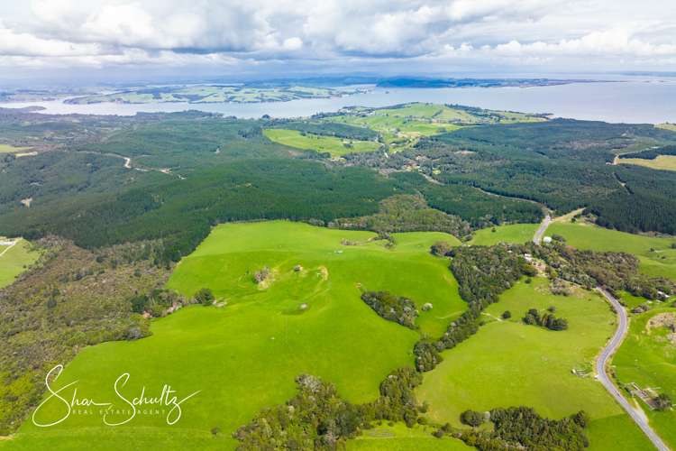 1509 Tinopai Road Tinopai_0