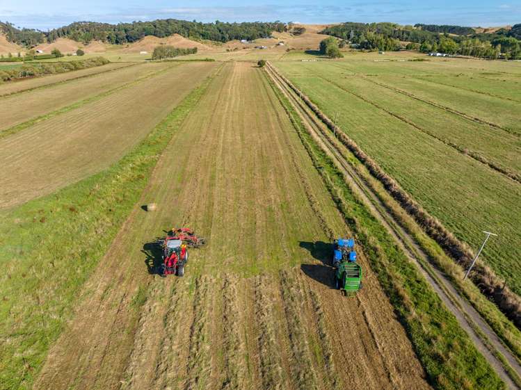 229 Wily Road Puni_6