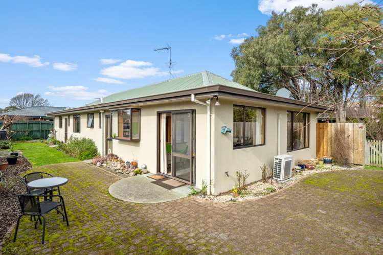 55c Colemans Road Springlands_5