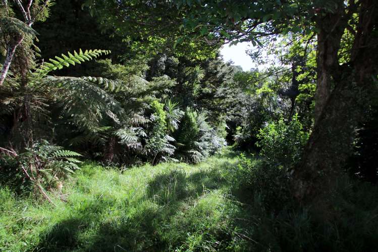 294 Munn Road Kaitaia_12