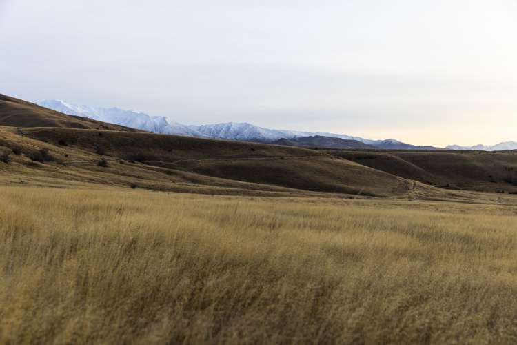 - Cardrona Valley Road The Soho - Pioneer_17