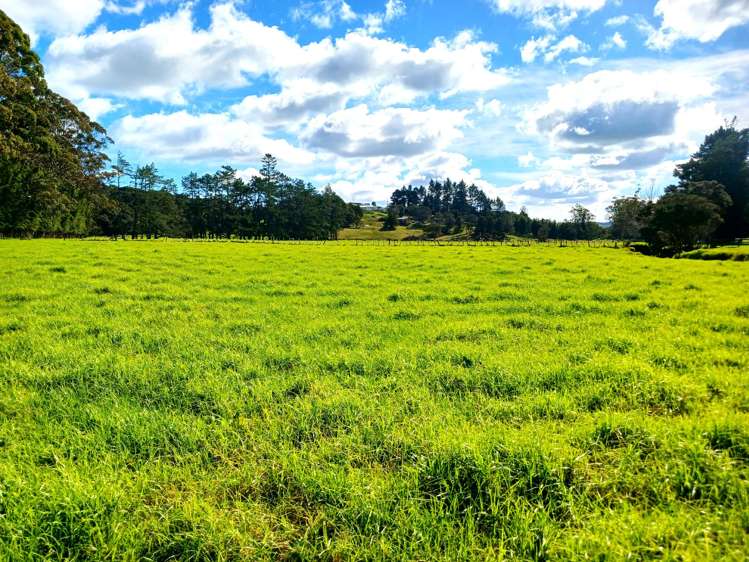 Larmer Road Kaitaia_11