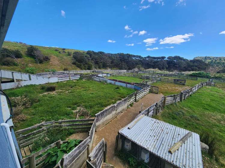 319 Ohautira Road Raglan_10