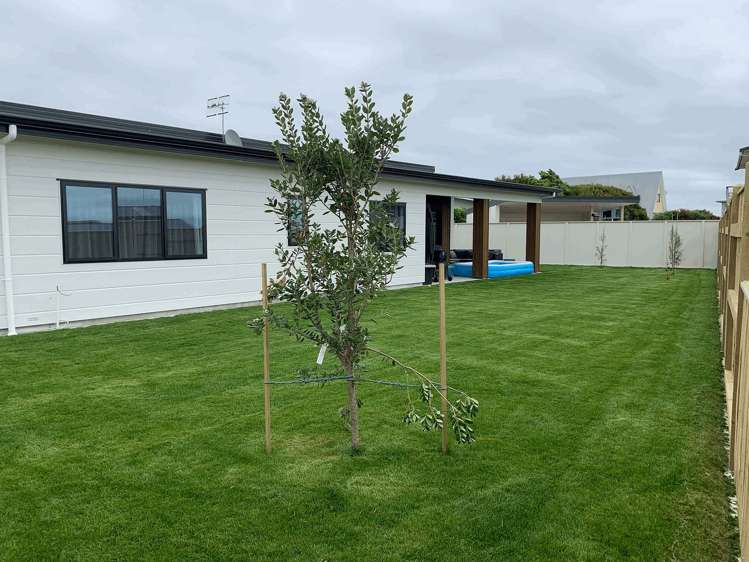 3 Snappers Lane Foxton Beach_22