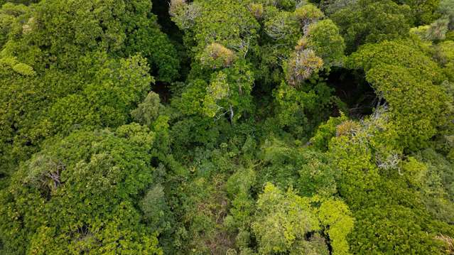 69 Rimu Street Waikanae_1