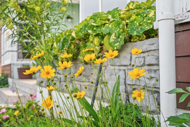 24 Maire Street Tikipunga_13