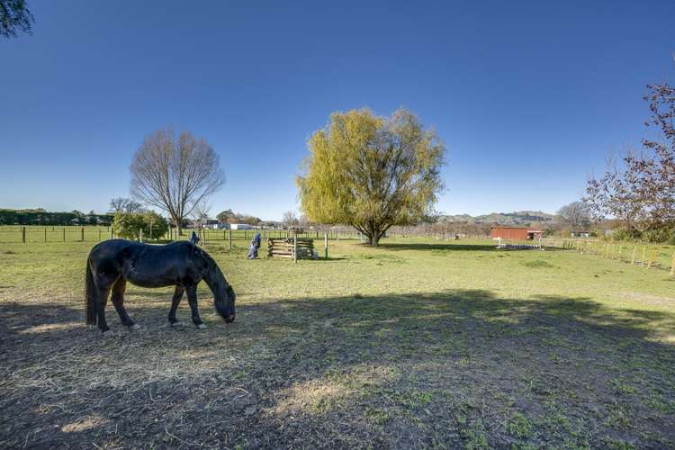 461 Saint Georges Road Havelock North_14