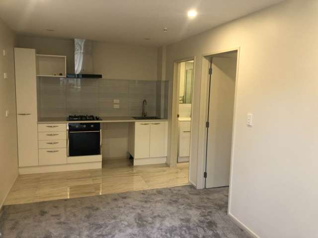 Near New 1 Bedroom Unit - Gas and Water included!