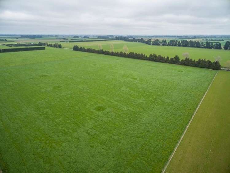 1248 Clintons Road Darfield_22