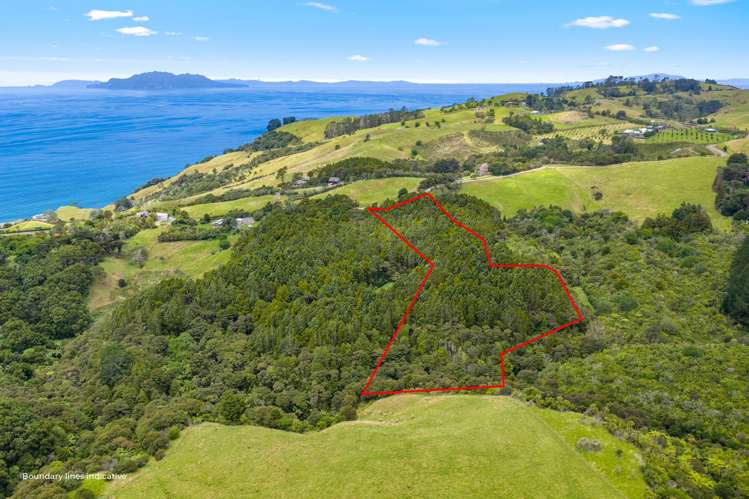 65 M Greenwood Road Leigh_22