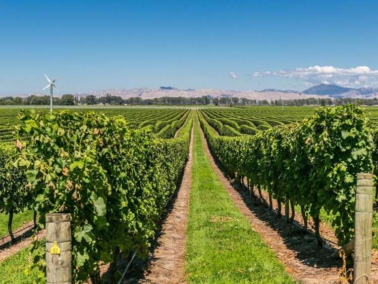 75 Pembers Road Tuamarina_0