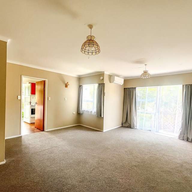 412B Willoughby Street Thames_3